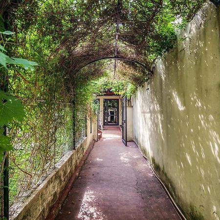 Santa Reparata Apartment With Patio And Terrace Florence Extérieur photo